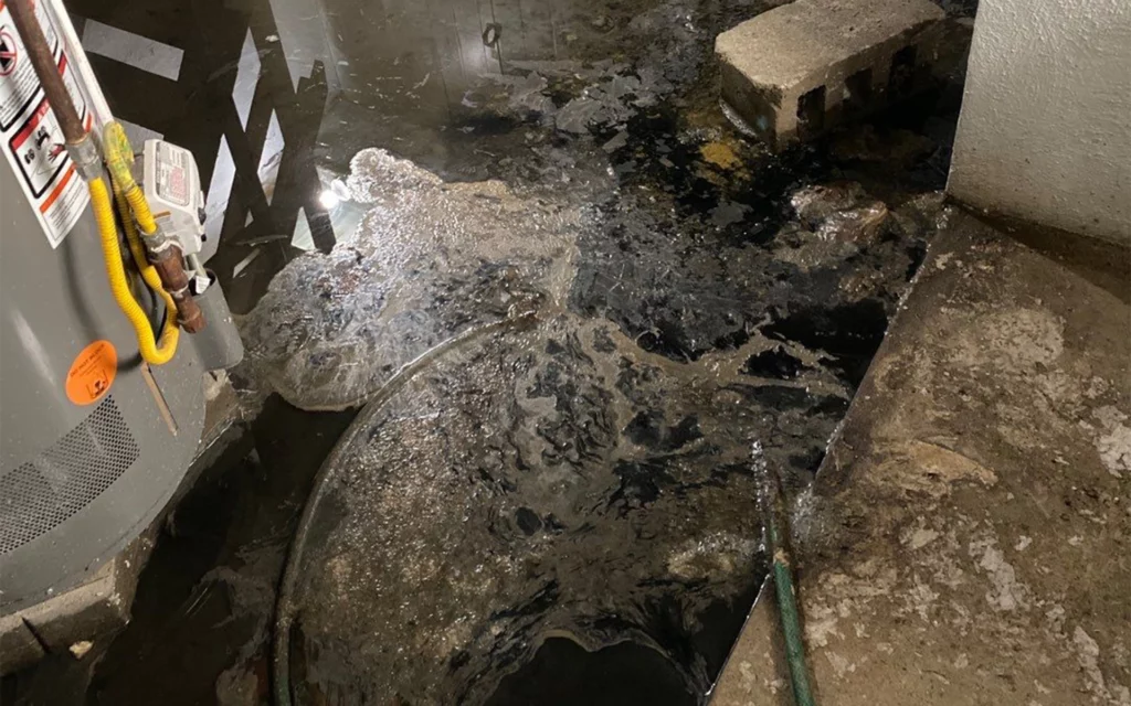 flood damage cleanup