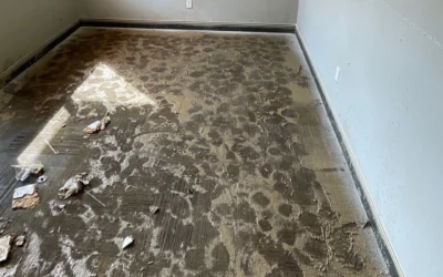 Is Mold Still a Problem in Colder Months?