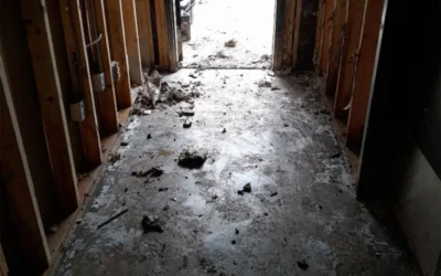 How Do You Clean Up After a Flood in Cold Weather?