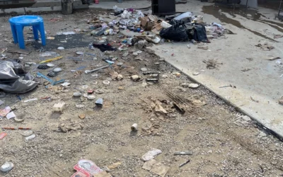 How Fast Does Mold Grow After Water Damage?